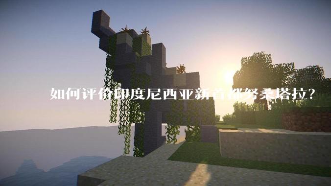 如何评价印度尼西亚新首都努桑塔拉？