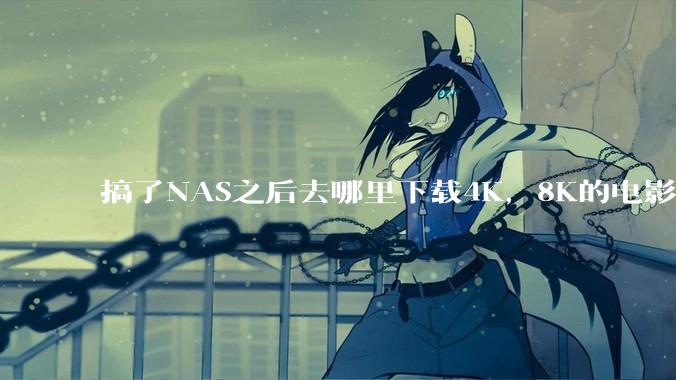 搞了NAS之后去哪里下载4K，8K的电影？