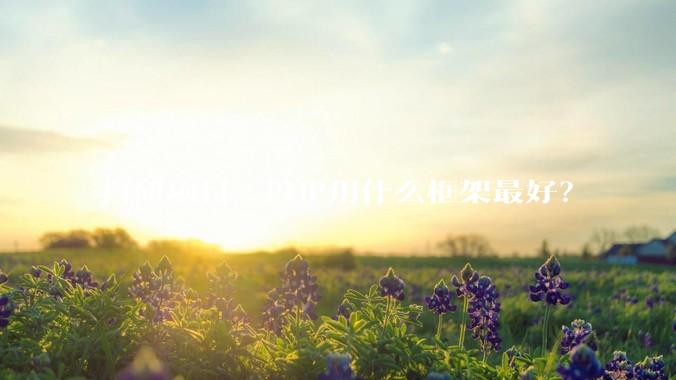 自研项目，PHP用什么框架最好？