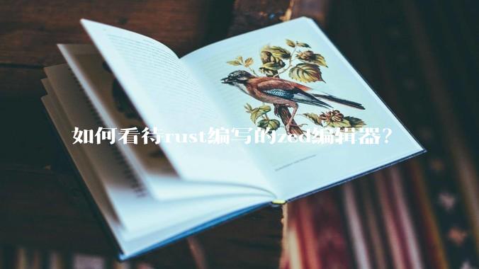 如何看待rust编写的zed编辑器？