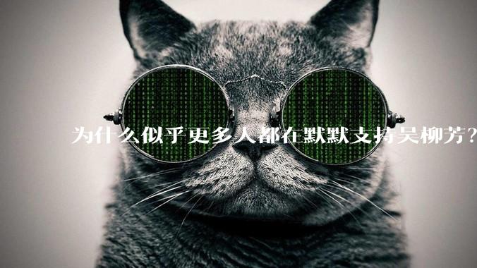 为什么似乎更多人都在默默支持吴柳芳？管晨辰是否做错了？