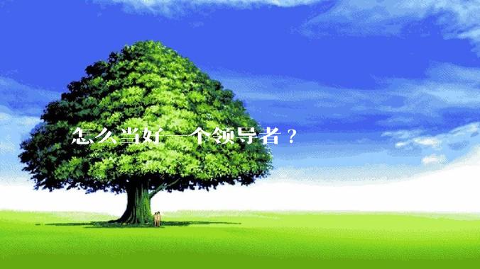 怎么当好一个领导者?