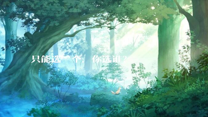 只能选一个，你选谁？